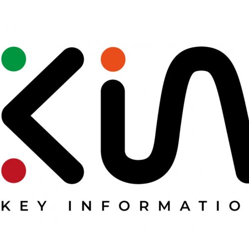 logo2 kinconsulting